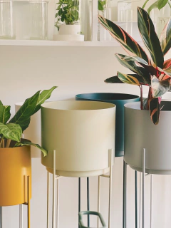 MACETERO NEW YORK + PLATO - tienda online