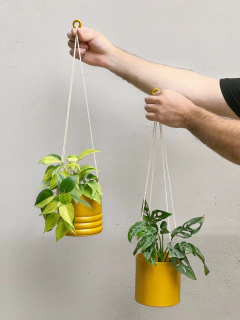 MACETA 12CM COLGANTE en internet