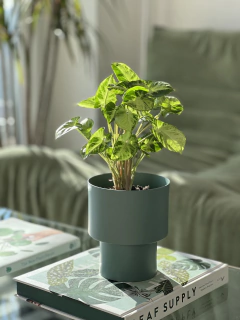 MACETA URANO ALUMINIO - tienda online