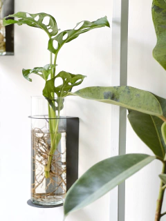 HIDRO DE PARED - comprar online