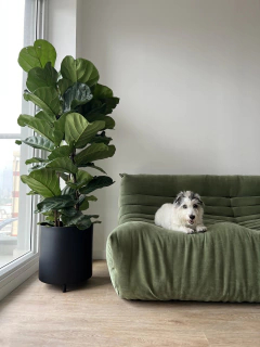 Imagen de MACETERO APOLO ALUMINIO