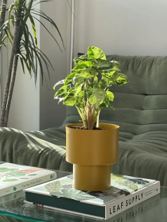 MACETA URANO ALUMINIO en internet