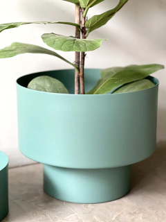 MACETA DUMBO - comprar online