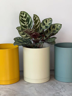 MACETA 18CM ALTA + PLATO