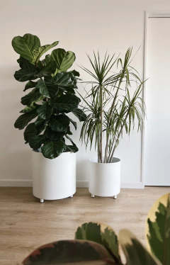 MACETERO APOLO ALUMINIO - LAPIN DECO