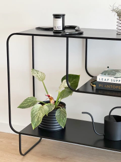 ESTANTERIA CURVY en internet