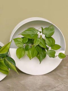 MACETERO NOLITA BLANCO - LAPIN DECO