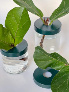 HIDRO ALUMINA