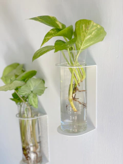 HIDRO DE PARED en internet