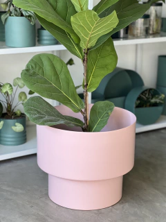 Imagen de MACETA DUMBO