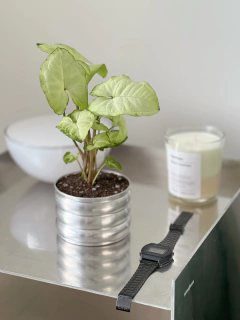 MACETA MINI CURVY ALUMINIO