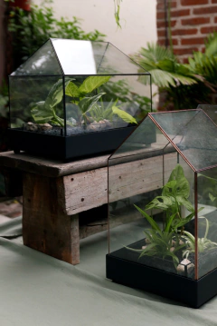 CASA INVERNADERO CON BASE DE METAL - comprar online