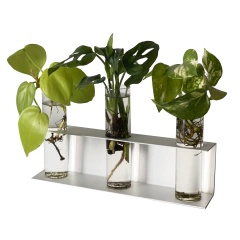 Imagen de ESTACION DE PROPAGACION BOTANICA