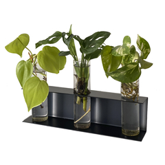 ESTACION DE PROPAGACION BOTANICA - comprar online