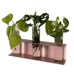 ESTACION DE PROPAGACION BOTANICA - LAPIN DECO