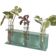 ESTACION DE PROPAGACION BOTANICA - tienda online