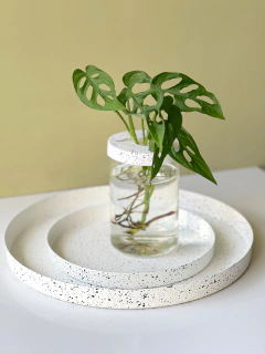 HIDRO ALUMINA - comprar online