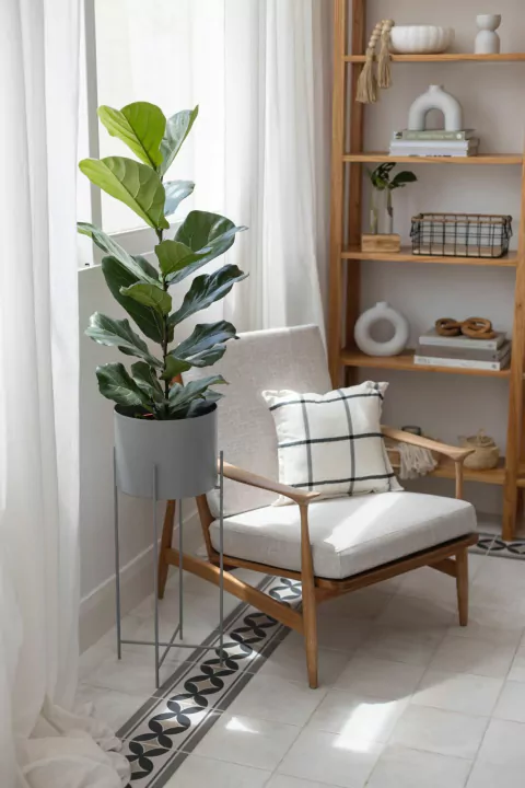 MACETERO NEW YORK + PLATO - comprar online