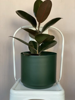 MACETA DE ALUMINIO 26CM VERDE OSCURO + PLATO en internet