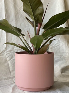 MACETA DE ALUMINIO 26CM ROSA + PLATO - comprar online