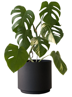 MACETA DE ALUMINIO 26CM NEGRO + PLATO