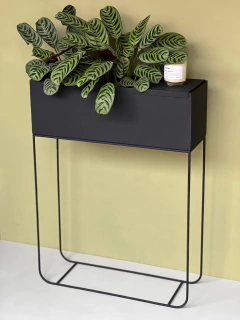 MACETERO RECTANGULAR PHOENIX en internet