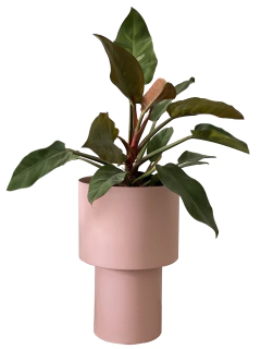 MACETERO TOTEM GRANDE