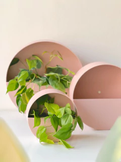 MACETERO NOLITA ROSA