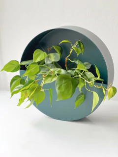 MACETERO NOLITA PETROLEO - comprar online