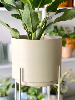 MACETERO NEW YORK + PLATO - comprar online