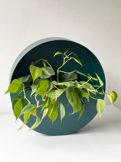 MACETERO NOLITA PETROLEO - LAPIN DECO