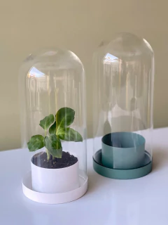 CUPULA GILI en internet