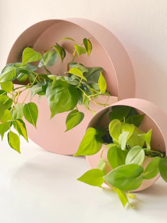 MACETERO NOLITA ROSA - tienda online