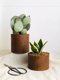 MACETA 12CM OXIDO - comprar online