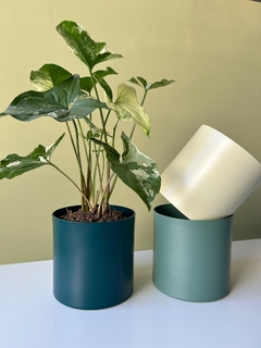 MACETA 12CM ALUMINIO - LAPIN DECO