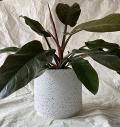 MACETA DE ALUMINIO 26CM BLANCO CRESPO + PLATO - comprar online