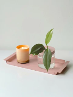 BANDEJA SAO en internet