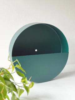 MACETERO NOLITA PETROLEO en internet