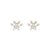 Brinco Patinha Pet de Zirconias Folheado A Ouro 18k