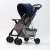 Coche De Paseo Eos Bebesit 1337 - SEGAL