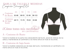 Imagen de Triangulito Peonia