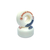 Roda 747 Djorge Oliveira 52mm - comprar online