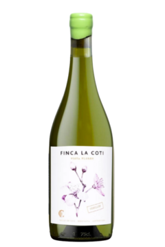 Finca La Coti Sauvignon Blanc