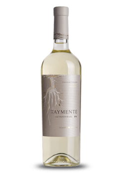 Taymente Sauvignon Blanc