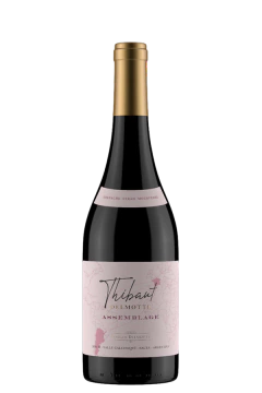 Thibaut Delmotte Assamblage GSM - comprar online
