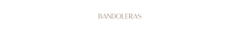 Banner de la categoría Cartera Bandoleras