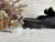 Slipper Liza Boa Negro - San Pretta