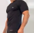 SPORT / COLECCIÓN DENVER / CAMISETA LISA MANGA CORTA / ART. 5318