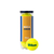 Tubo de pelotas WILSON x3 BOCA JUNIORS TENNIS BALL (WR8204301001)