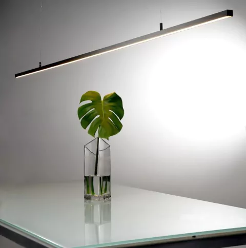 LINEAS MAX :: SUSPENDIDO